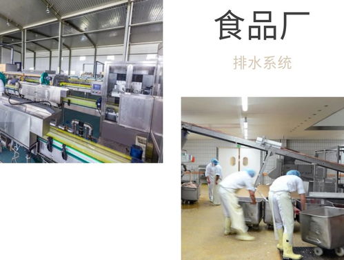 食品廠車間排水布局設(shè)計(jì)與地漏選擇建議