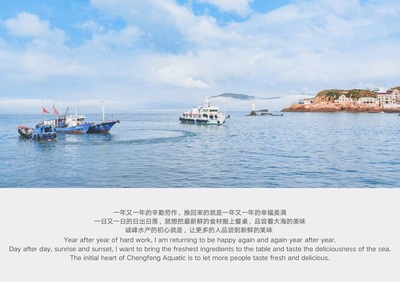 寧波得邦設(shè)計(jì) 一站式品牌全案策劃與設(shè)計(jì)的專業(yè)伙伴